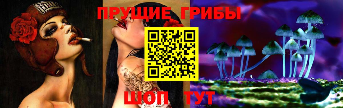 как найти закладки  Псилоцибиновые грибы Magic Shrooms  Вход с VPN  Дальнереченск 