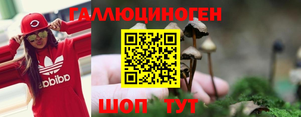 Псилоцибиновые грибы прущие грибы Дальнереченск